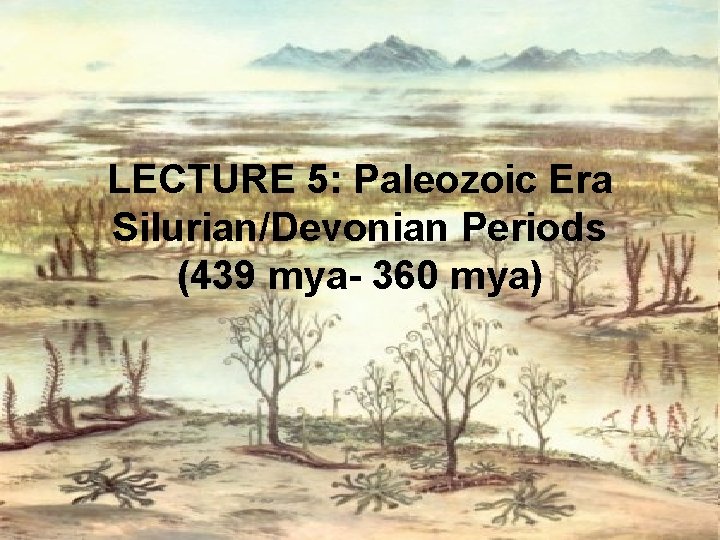 LECTURE 5: Paleozoic Era Silurian/Devonian Periods (439 mya- 360 mya) 