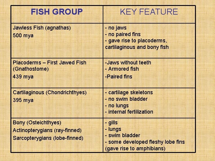 FISH GROUP KEY FEATURE Jawless Fish (agnathas) 500 mya - no jaws - no
