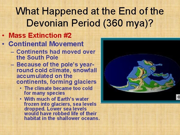 What Happened at the End of the Devonian Period (360 mya)? • Mass Extinction