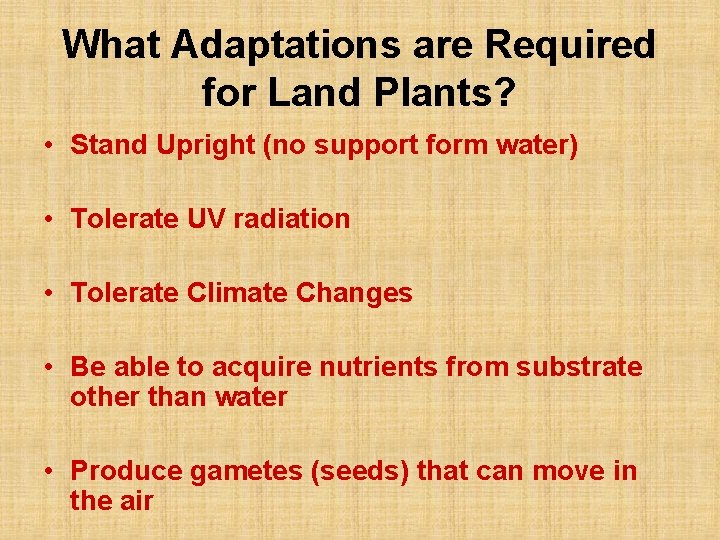 What Adaptations are Required for Land Plants? • Stand Upright (no support form water)