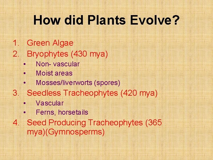 How did Plants Evolve? 1. Green Algae 2. Bryophytes (430 mya) • • •