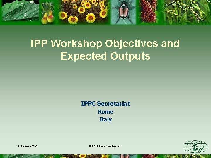 IPP Workshop Objectives and Expected Outputs IPPC Secretariat Rome Italy 21 February 2005 IPP