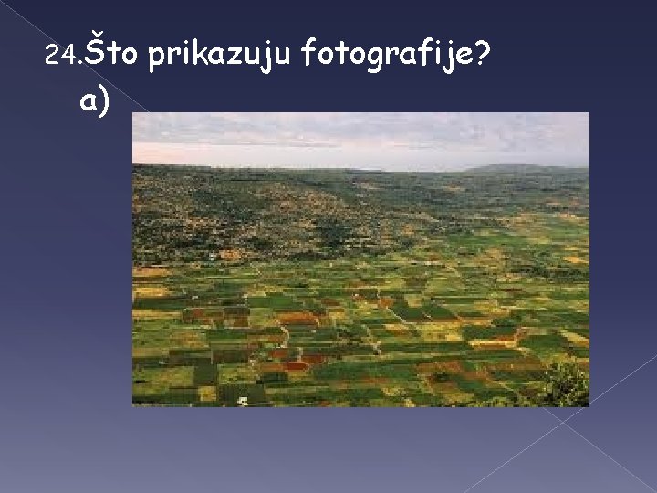 24. Što a) prikazuju fotografije? 