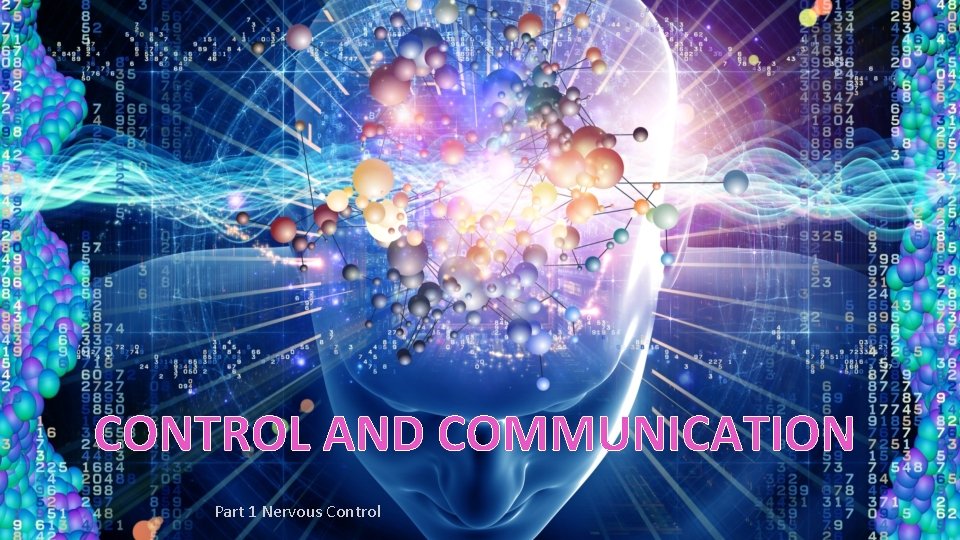 CONTROL AND COMMUNICATION Part 1 Nervous Control 