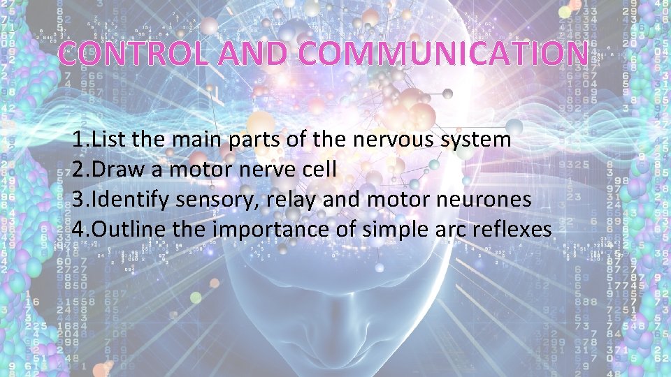 CONTROL AND COMMUNICATION 1. List the main parts of the nervous system 2. Draw
