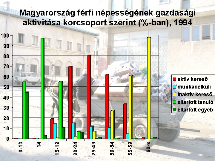 Magyarország férfi népességének gazdasági aktivitása korcsoport szerint (%-ban), 1994 