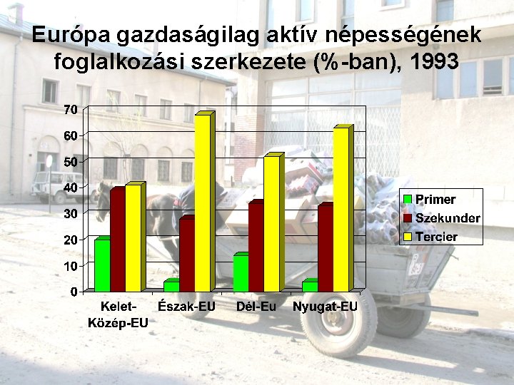 Európa gazdaságilag aktív népességének foglalkozási szerkezete (%-ban), 1993 