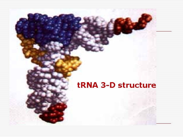 t. RNA 3 -D structure 