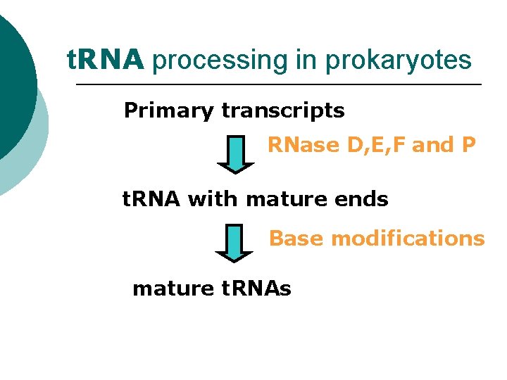 t. RNA processing in prokaryotes Primary transcripts RNase D, E, F and P t.