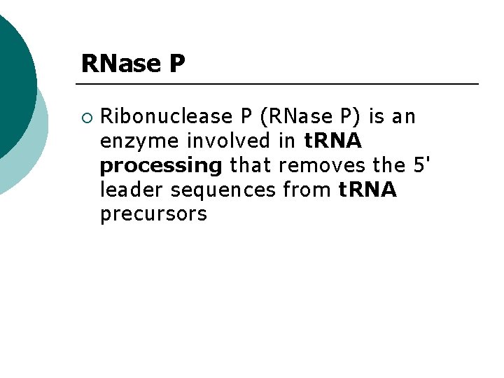 RNase P ¡ Ribonuclease P (RNase P) is an enzyme involved in t. RNA