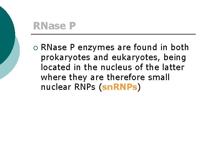 RNase P ¡ RNase P enzymes are found in both prokaryotes and eukaryotes, being