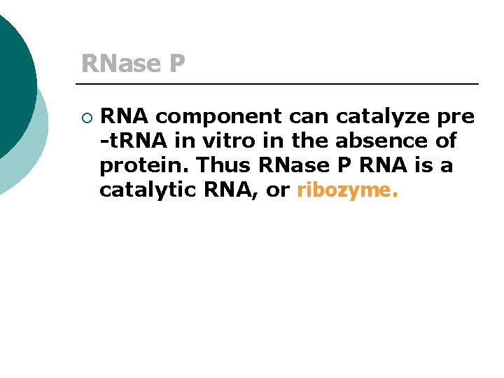 RNase P ¡ RNA component can catalyze pre -t. RNA in vitro in the
