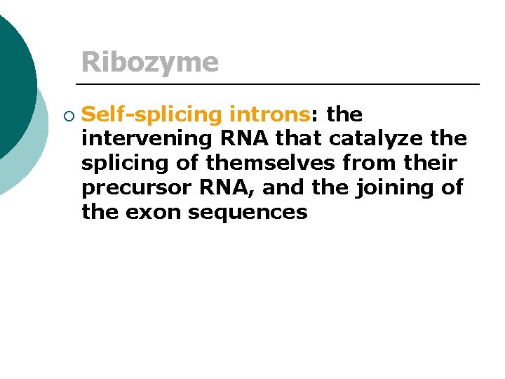 Ribozyme ¡ Self-splicing introns: the intervening RNA that catalyze the splicing of themselves from