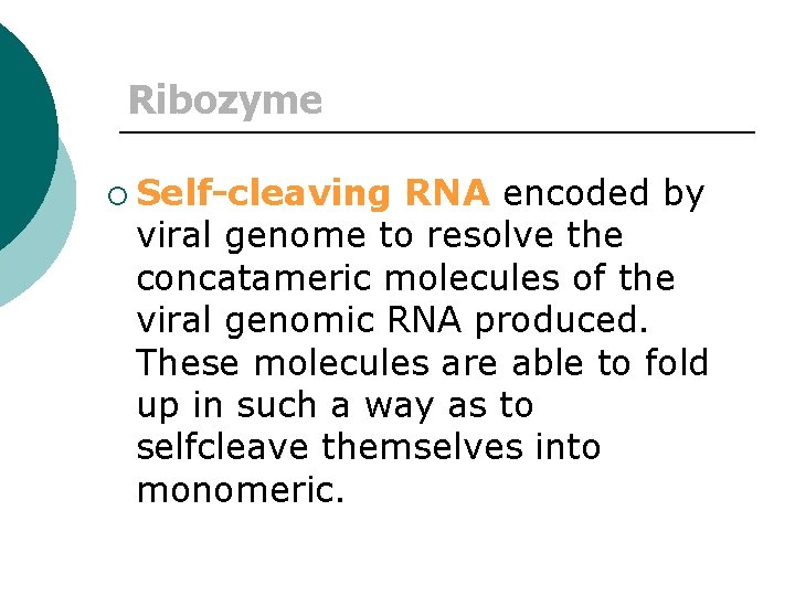 Ribozyme ¡ Self-cleaving RNA encoded by viral genome to resolve the concatameric molecules of