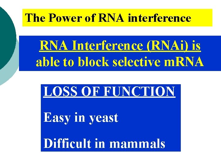 The Power of RNA interference RNA Interference (RNAi) is able to block selective m.