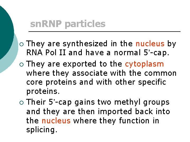 sn. RNP particles They are synthesized in the nucleus by RNA Pol II and