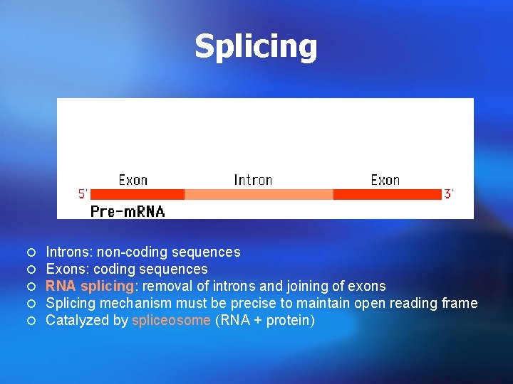 Splicing ¡ ¡ ¡ Introns: non-coding sequences Exons: coding sequences RNA splicing: removal of