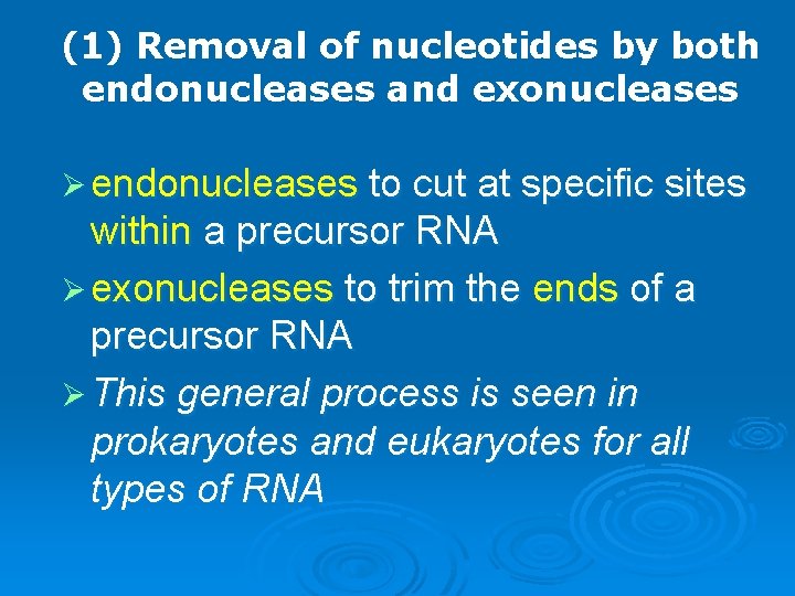 (1) Removal of nucleotides by both endonucleases and exonucleases Ø endonucleases to cut at