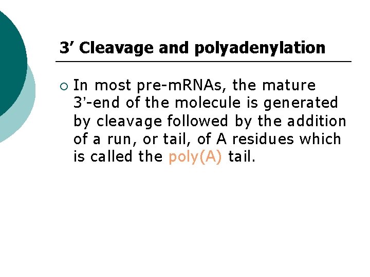 3’ Cleavage and polyadenylation ¡ In most pre-m. RNAs, the mature 3’-end of the