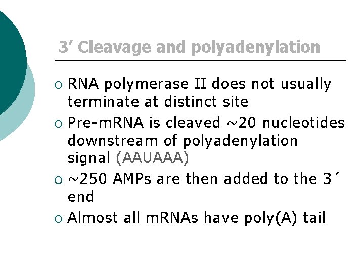 3’ Cleavage and polyadenylation RNA polymerase II does not usually terminate at distinct site