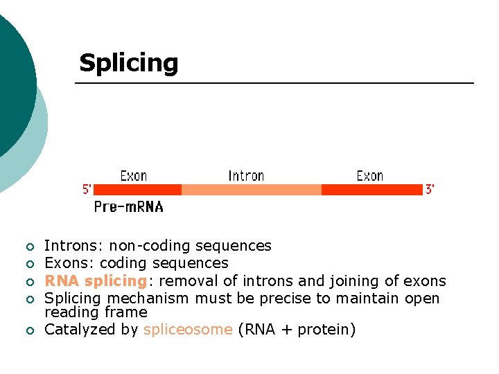 Splicing ¡ ¡ ¡ Introns: non-coding sequences Exons: coding sequences RNA splicing: removal of