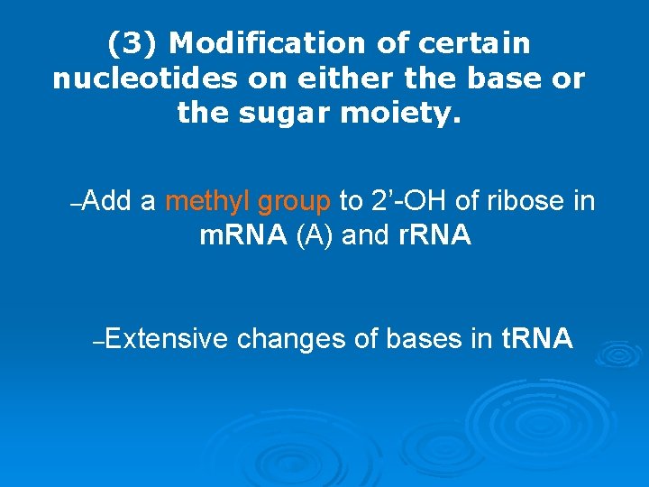 (3) Modification of certain nucleotides on either the base or the sugar moiety. –Add
