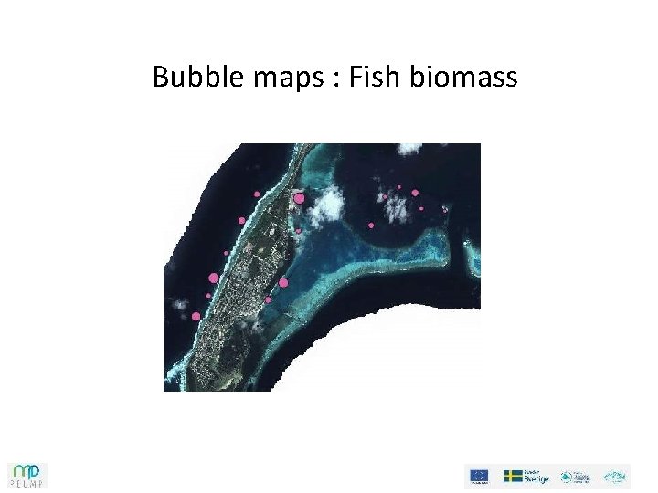 Bubble maps : Fish biomass Bubble maps : Fish biomass