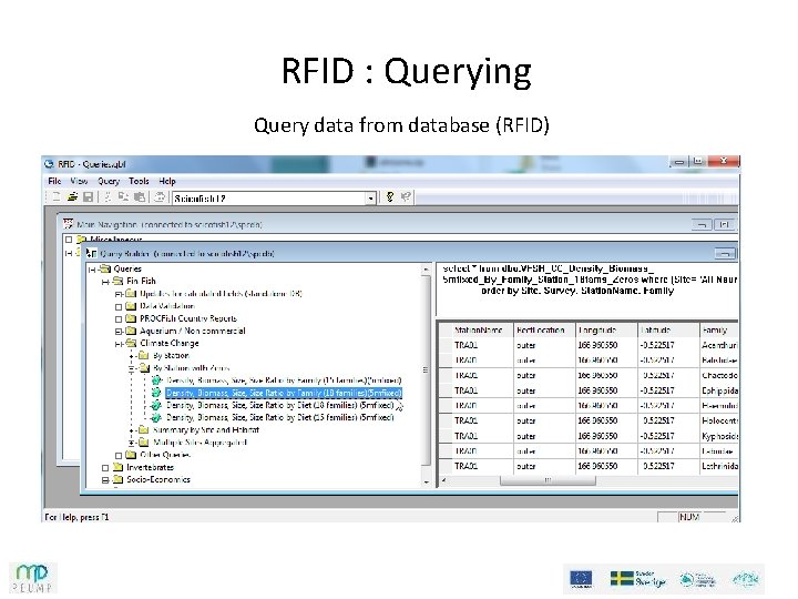 RFID : Querying Query data from database (RFID) RFID : Querying Query data from database (RFID)