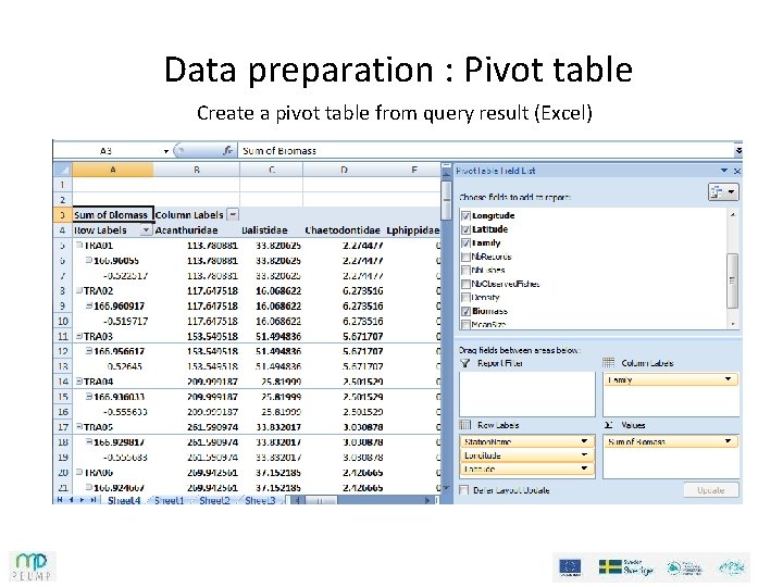 Data preparation : Pivot table Create a pivot table from query result (Excel) Data preparation : Pivot table Create a pivot table from query result (Excel)