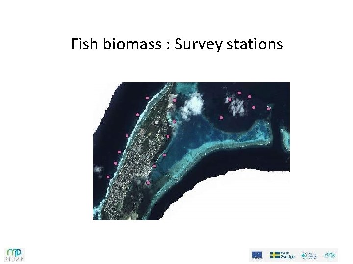 Fish biomass : Survey stations Fish biomass : Survey stations