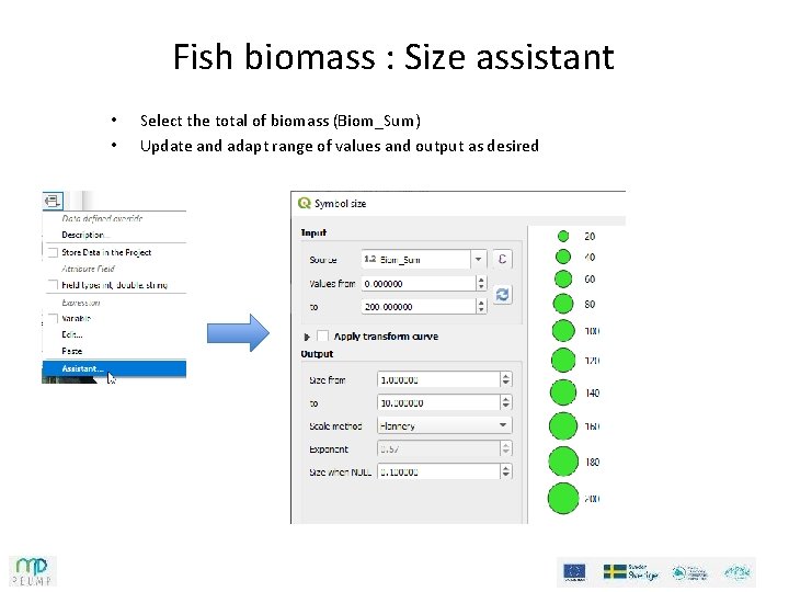 Fish biomass : Size assistant • • Select the total of biomass (Biom_Sum) Update Fish biomass : Size assistant • • Select the total of biomass (Biom_Sum) Update