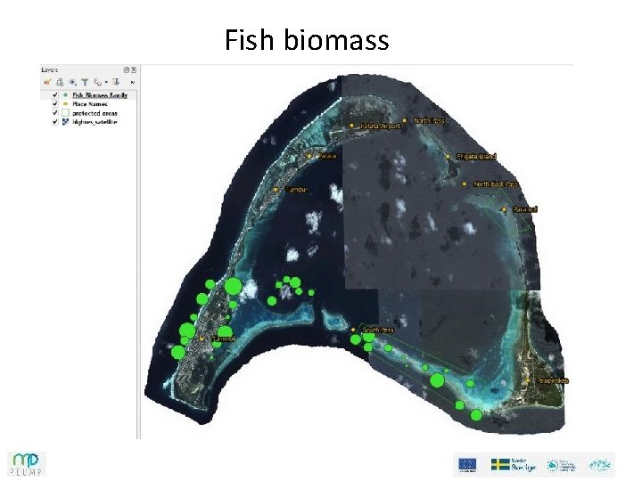 Fish biomass Fish biomass
