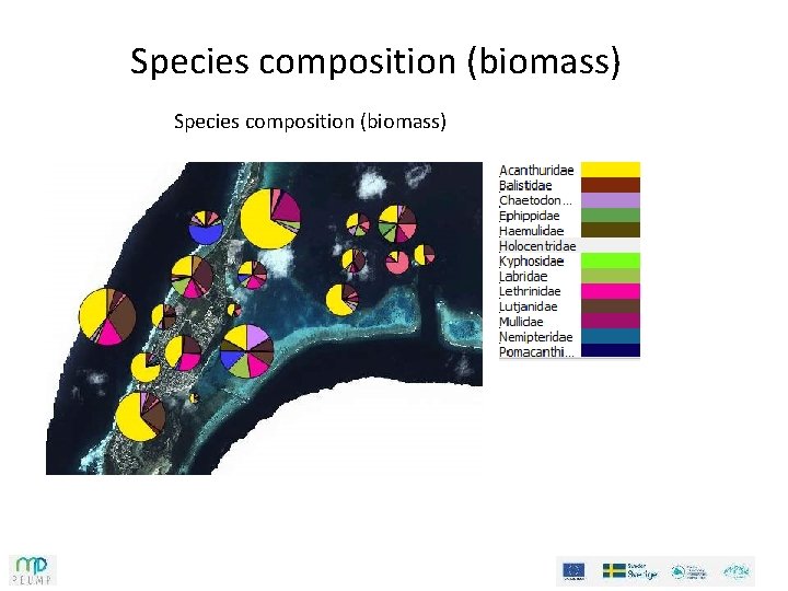 Species composition (biomass) Species composition (biomass)
