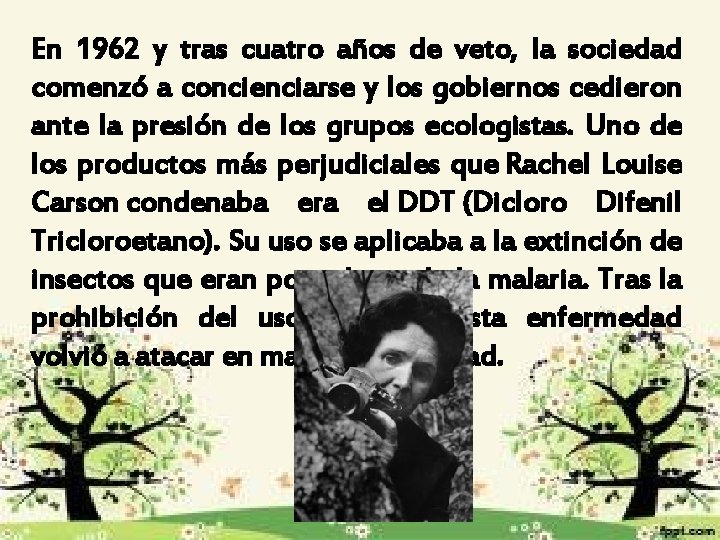 En 1962 y tras cuatro años de veto, la sociedad comenzó a concienciarse y