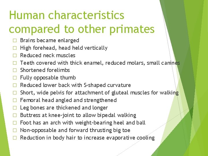 Human characteristics compared to other primates � � � � Brains became enlarged High Human characteristics compared to other primates � � � � Brains became enlarged High