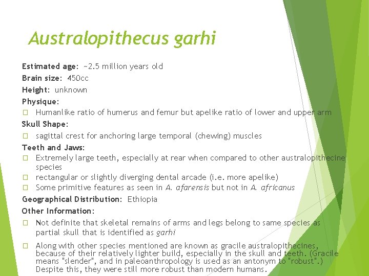 Australopithecus garhi Estimated age: ~2. 5 million years old Brain size: 450 cc Height: Australopithecus garhi Estimated age: ~2. 5 million years old Brain size: 450 cc Height: