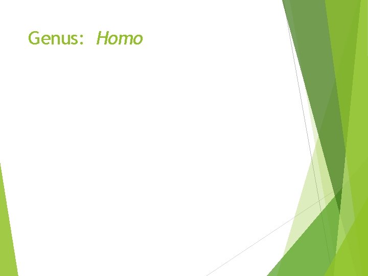 Genus: Homo Genus: Homo