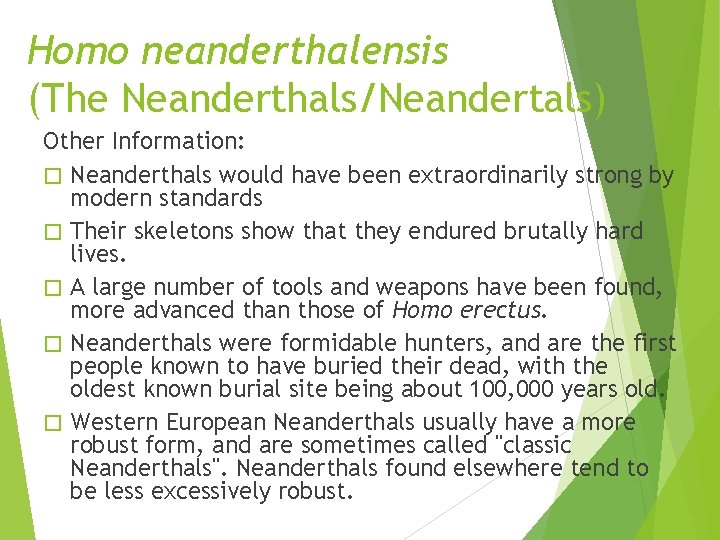 Homo neanderthalensis (The Neanderthals/Neandertals) Other Information: � Neanderthals would have been extraordinarily strong by Homo neanderthalensis (The Neanderthals/Neandertals) Other Information: � Neanderthals would have been extraordinarily strong by