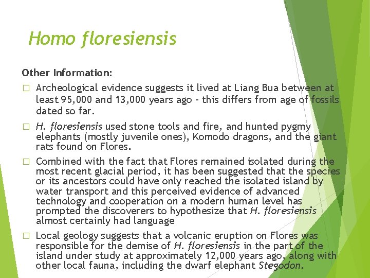 Homo floresiensis Other Information: � Archeological evidence suggests it lived at Liang Bua between Homo floresiensis Other Information: � Archeological evidence suggests it lived at Liang Bua between