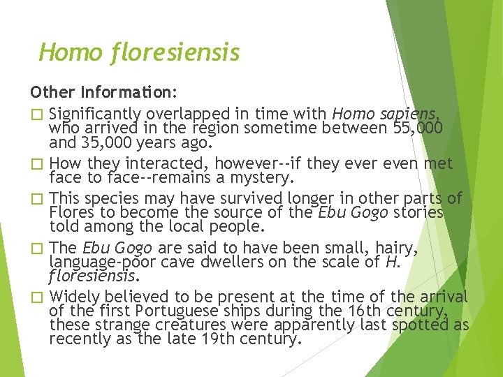 Homo floresiensis Other Information: � Significantly overlapped in time with Homo sapiens, who arrived Homo floresiensis Other Information: � Significantly overlapped in time with Homo sapiens, who arrived