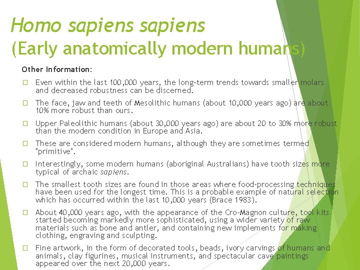 Homo sapiens (Early anatomically modern humans) Other Information: � Even within the last 100, Homo sapiens (Early anatomically modern humans) Other Information: � Even within the last 100,