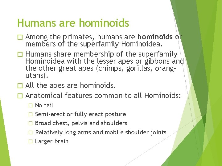 Humans are hominoids Among the primates, humans are hominoids or members of the superfamily Humans are hominoids Among the primates, humans are hominoids or members of the superfamily