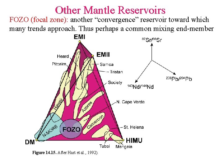 Other Mantle Reservoirs FOZO (focal zone): another “convergence” reservoir toward which many trends approach.