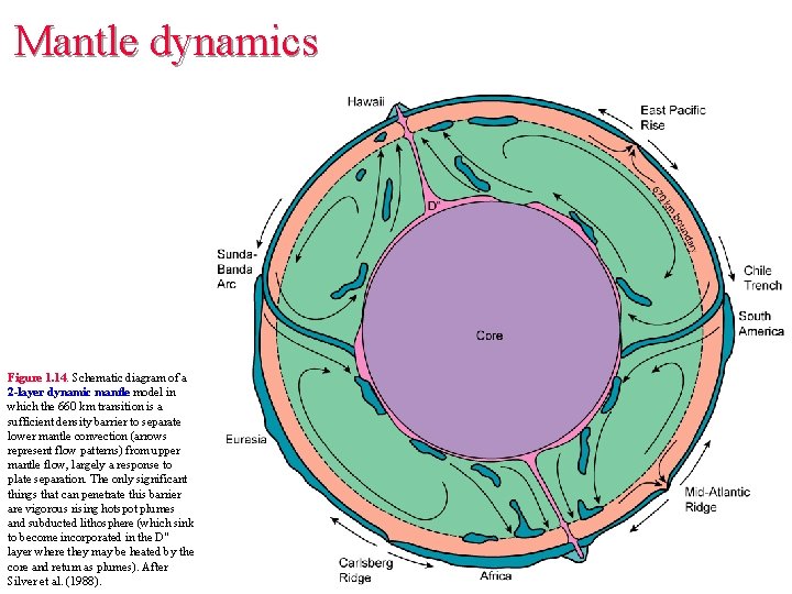 Mantle dynamics Figure 1. 14. Schematic diagram of a 2 -layer dynamic mantle model