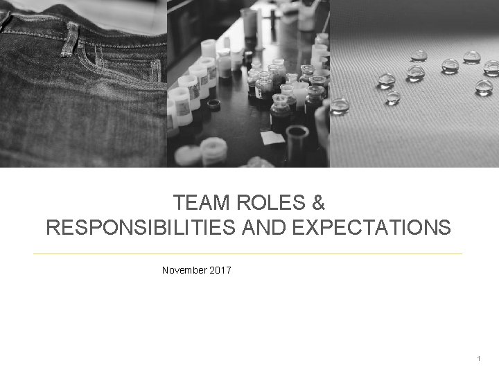 TEAM ROLES & RESPONSIBILITIES AND EXPECTATIONS November 2017 1 