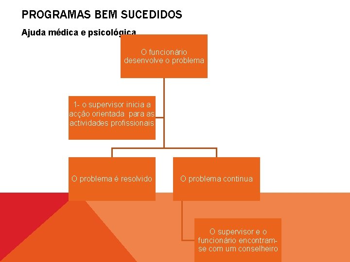 PROGRAMAS BEM SUCEDIDOS Ajuda médica e psicológica O funcionário desenvolve o problema 1 -