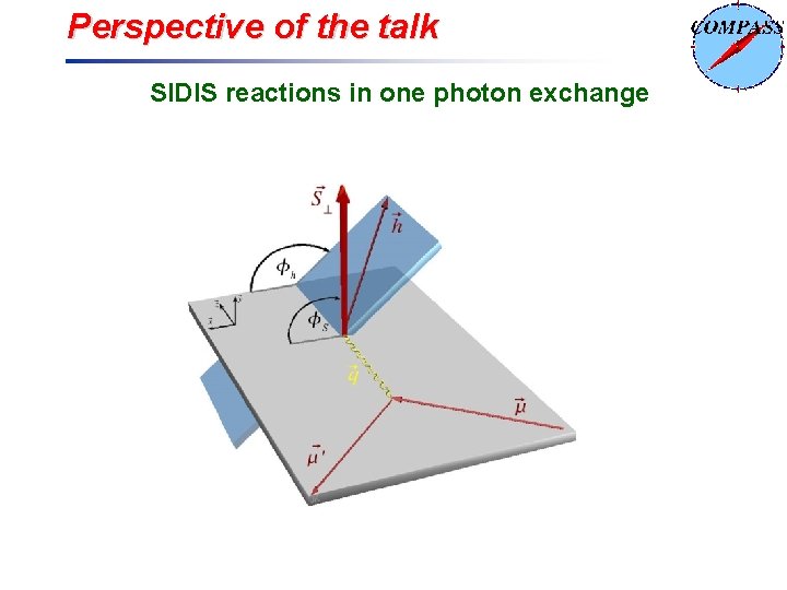 Perspective of the talk SIDIS reactions in one photon exchange 