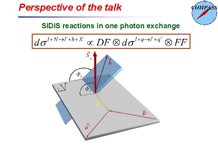 Perspective of the talk SIDIS reactions in one photon exchange 