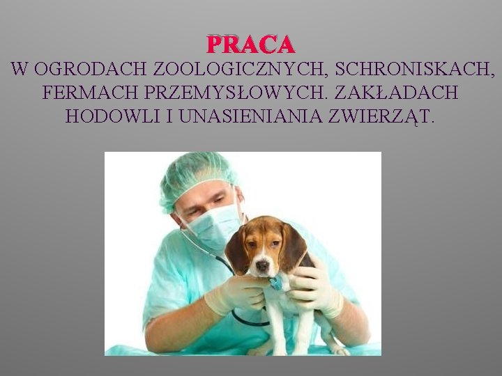 PRACA W OGRODACH ZOOLOGICZNYCH, SCHRONISKACH, FERMACH PRZEMYSŁOWYCH. ZAKŁADACH HODOWLI I UNASIENIANIA ZWIERZĄT. 