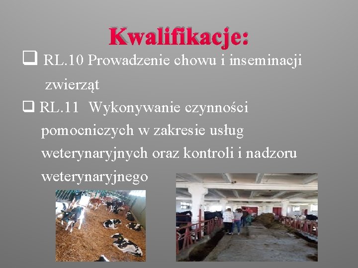 Kwalifikacje: q RL. 10 Prowadzenie chowu i inseminacji zwierząt q RL. 11 Wykonywanie czynności